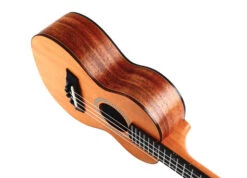 Twisted Wood RR-200S Rock Roots Solid Mahogany Soprano Uke W/Gig Bag - Twisted Wood -Zedem Sale Store RR 200 999 2