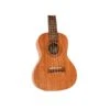 Twisted Wood RR-200C Rock Roots Concert Ukulele Solid Mahogany W/Gig Bag - Twisted Wood -Zedem Sale Store RR 200C 1 B