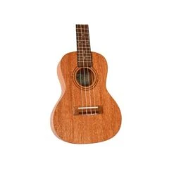 Twisted Wood RR-200C Rock Roots Concert Ukulele Solid Mahogany W/Gig Bag - Twisted Wood