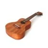 Twisted Wood RR-200T Rock Roots Tenor Ukulele Solid Mahogany W/Gig Bag - Twisted Wood