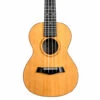 Twisted Wood SE-900C Sierra Concert Ukulele - B-Stock - Twisted Wood -Zedem Sale Store SE 900C 1