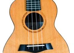 Twisted Wood SE-900C Sierra Concert Ukulele - B-Stock - Twisted Wood -Zedem Sale Store SE 900C 100 web