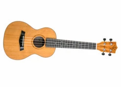 Twisted Wood SE-900C Sierra Concert Ukulele - B-Stock - Twisted Wood -Zedem Sale Store SE 900C 4 copy