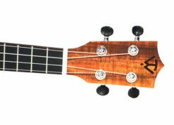 Twisted Wood SE-900C Sierra Concert Ukulele - B-Stock - Twisted Wood -Zedem Sale Store Sierra Headstock 1 copy