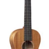 Martin Ukulele T1-01, Tenor W/Gig Bag - Martin -Zedem Sale Store T1UKE 01FSC 1