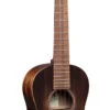 Martin Ukulele, T1 Tenor StreetMaster W/Gig Bag - Martin