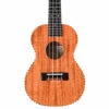 Twisted Wood TO-100T Original Tenor Ukulele - B-Stock - Twisted Wood