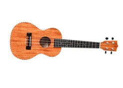 Twisted Wood TO-100T Original Tenor Ukulele - B-Stock - Twisted Wood -Zedem Sale Store TO 100C 2222 73fc56b3 1846 41cd 9383 a3610f6fa348