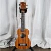Twisted Wood TO-100S Original Soprano Ukulele Lam. Mahogany W/Gig Bag - Twisted Wood