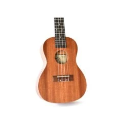 Twisted Wood TY-050T Tyros Ukulele Tenor - Twisted Wood