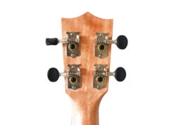 Twisted Wood TY-050C Tyros Concert Ukulele - B-Stock - Twisted Wood -Zedem Sale Store Tyro 2 2