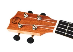 Twisted Wood TY-050C Tyros Concert Ukulele - B-Stock - Twisted Wood -Zedem Sale Store Tyro 5 1