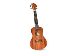 Twisted Wood TY-050C Tyros Concert Ukulele - B-Stock - Twisted Wood -Zedem Sale Store Tyro 8
