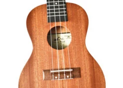 Twisted Wood TY-050C Tyros Concert Ukulele - B-Stock - Twisted Wood -Zedem Sale Store Tyro 9