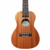 Twisted Wood TY-050C Tyros Concert Ukulele - B-Stock - Twisted Wood -Zedem Sale Store Tyro Front 3 copy
