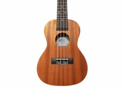 Twisted Wood TY-050C Tyros Concert Ukulele - B-Stock - Twisted Wood