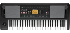 Korg EK50CSA 61-Key Entertainer Keyboard Authentic Latin Styles - Korg