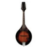 BeaverCreek BCMM201 Mandolin - BeaverCreek -Zedem Sale Store bcmm201E 1