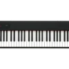 Korg D1 88-Key Stage Piano With RH3, Black - Korg -Zedem Sale Store c45ebf7c8244c41f6f583a992666c252 pc