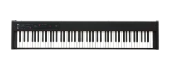 Korg D1 88-Key Stage Piano With RH3, Black - Korg