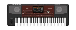 Korg PA700OR Quarter Tone 61-Key Arranger With Color Touchview,Speakers,Usb - Korg