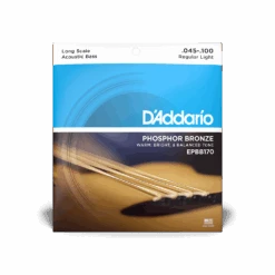 D'Addario EPBB170 Phosphor Bronze Acoustic Bass, Long Scale, 45=100 - D'Addario