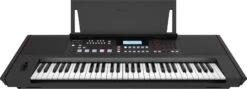 Roland E-X50 61-Key Entertainment Arranger Keyboard - Roland -Zedem Sale Store e x50 angle front stand gal