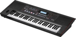 Roland E-X50 61-Key Entertainment Arranger Keyboard - Roland -Zedem Sale Store e x50 angle right gal