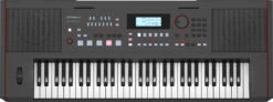 Roland E-X50 61-Key Entertainment Arranger Keyboard - Roland