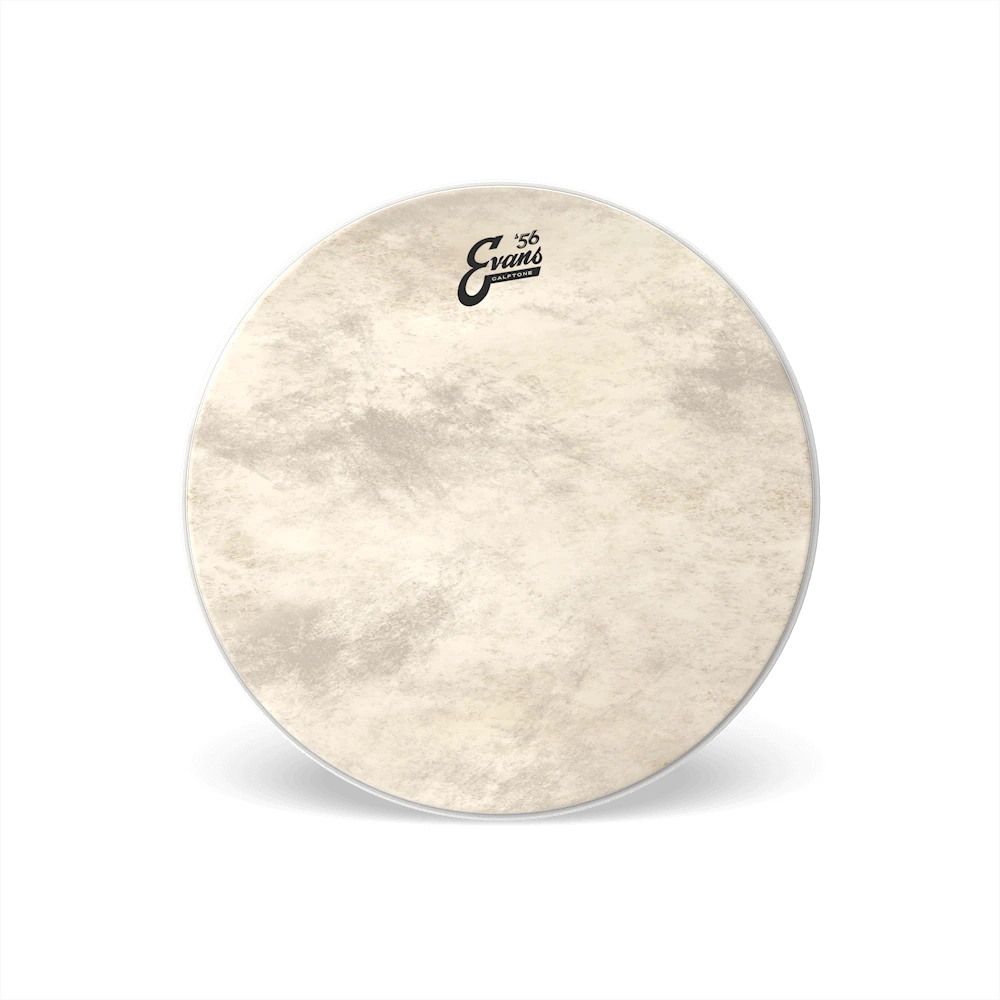 Evans Calftone Bass Drum Reso 16'' - Evans 1 Evans Calftone Bass Drum Reso 16'' - Evans