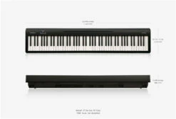 Roland FP-10 Digital Piano - Black - Roland -Zedem Sale Store fp 10 size gal