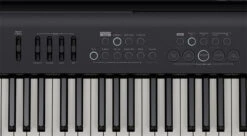 Roland FP-E50-BK 88-Key Entertainment Digital Arranger Piano - Black - Roland -Zedem Sale Store fp e50 panel left