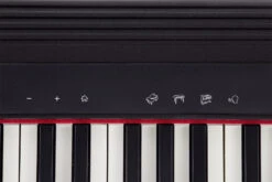 Roland GO-61P GO:PIANO Portable Keyboard - Roland 19 Roland GO-61P GO:PIANO Portable Keyboard - Roland -Zedem Sale Store gallery gopiano front panel 2