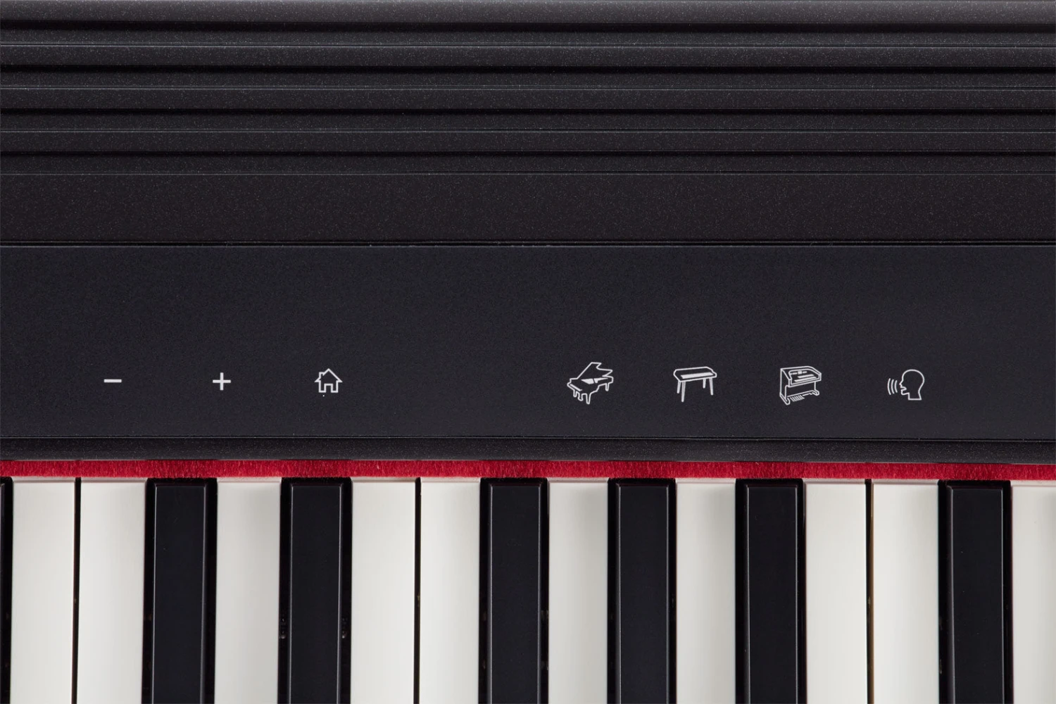 Roland GO-61P GO:PIANO Portable Keyboard - Roland 9 Roland GO-61P GO:PIANO Portable Keyboard - Roland - Image 9