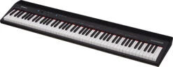 Roland GO-88P GO:PIANO Portable Keyboard - Roland 16 Roland GO-88P GO:PIANO Portable Keyboard - Roland -Zedem Sale Store go 88p dr1 gal