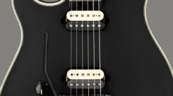 EVH Wolfgang USA Left-Hand, Ebony Fingerboard, Stealth Black - EVH -Zedem Sale Store highlight evh 5107910868 feature 04