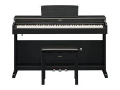 Yamaha YDP-165 ARIUS Digital Piano With Bench - Black - Yamaha