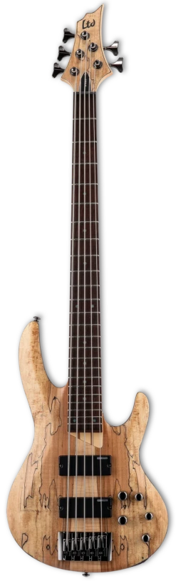 ESP LTD B-205SM, Natural Satin - LTD