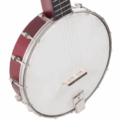 Recording King Dirty 30's Open Back Banjo - Recording King -Zedem Sale Store rkoh 05 top
