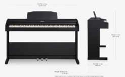 Roland RP102-BK Digital Piano - Black - Demo - Roland -Zedem Sale Store rp102 10 size gal