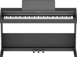 Roland RP107 Digital Piano Black - Roland -Zedem Sale Store rp107 front open gal
