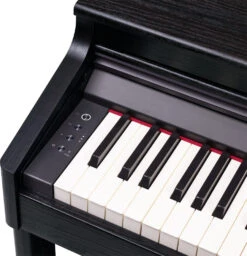 Roland RP701 Digital Piano - Contemporary Black - Roland -Zedem Sale Store rp701 cb left end block gal
