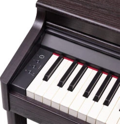 Roland RP701 Digital Piano - Dark Rosewood - Roland -Zedem Sale Store rp701 dr left end block gal