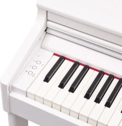 Roland RP701 Digital Piano - White - Roland 14 Roland RP701 Digital Piano - White - Roland -Zedem Sale Store rp701 wh left end block gal