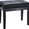 Roland RPB-300BK Piano Bench - Satin Black, Vinyl Seat - Roland -Zedem Sale Store rpb 300bk angle gal